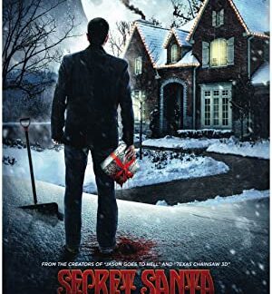 Secret Santa (2018) starring Michael Rady on DVD